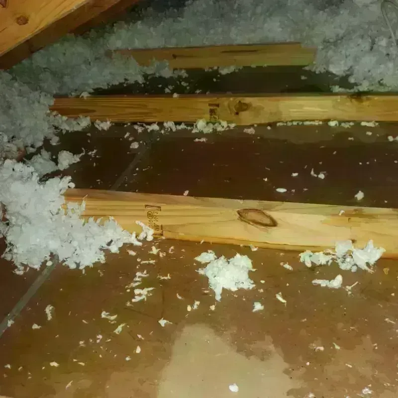 Attic Water Damage in Sauk City, WI