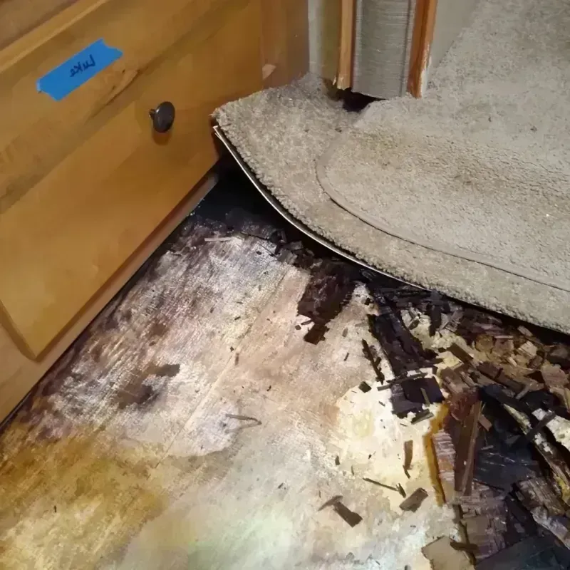 Wood Floor Water Damage in Sauk City, WI